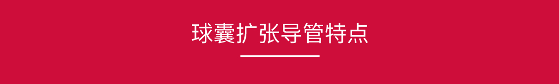 球囊擴張導(dǎo)管_03.jpg